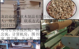 探访漳平市生态品软木制品厂 当自然材质遇见匠心工艺